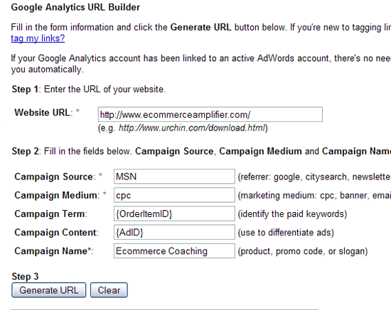 Screenshot: Google URL Builder Setup for MSN Tracking